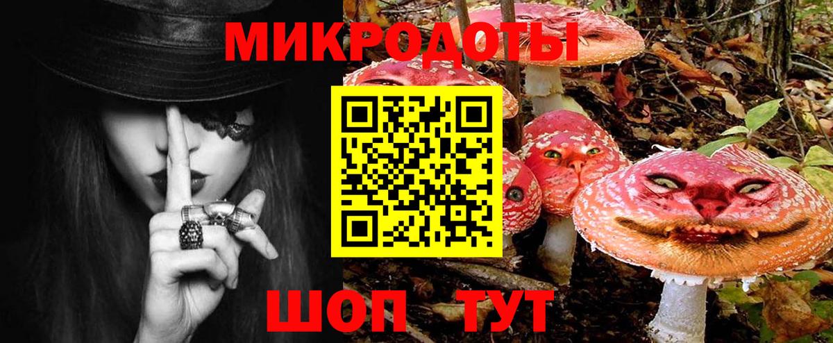 Галлюциногенные грибы прущие грибы Железногорск