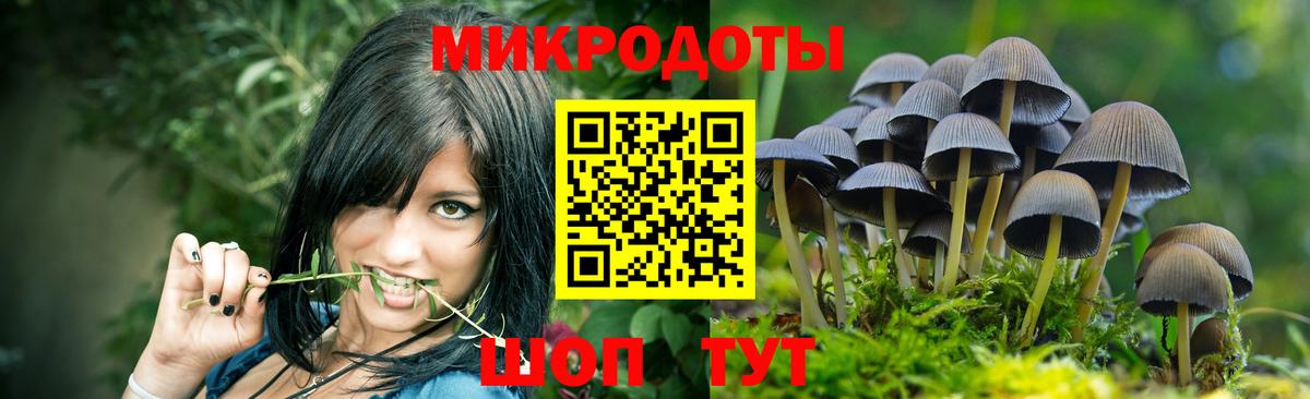 Галлюциногенные грибы Magic Shrooms  Вход с VPN  Псилоцибиновые грибы Cubensis  Железногорск 